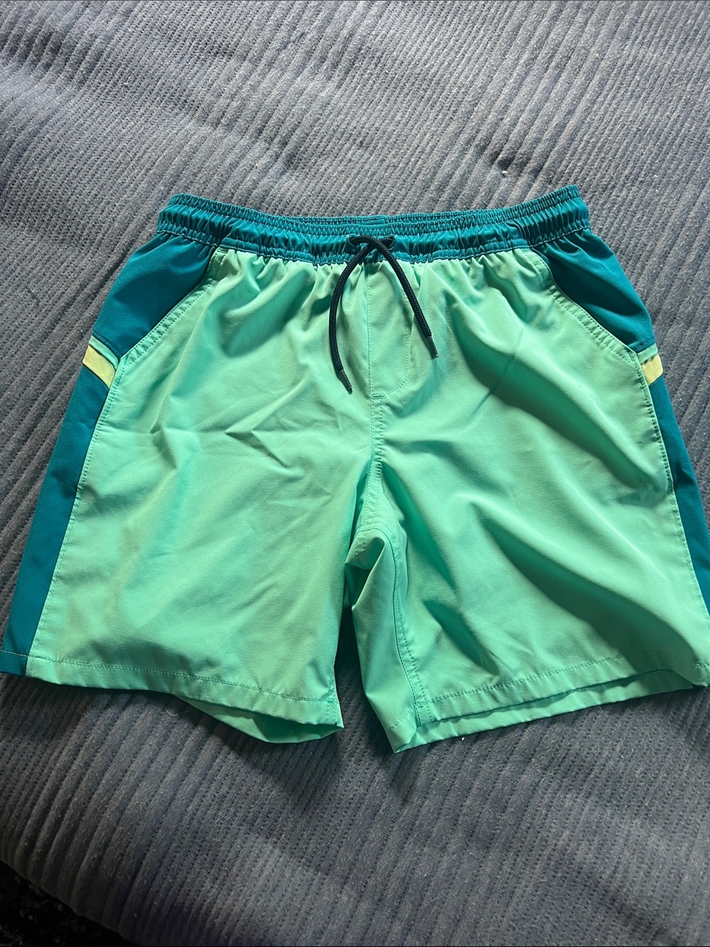 Lands' End Mint and Teal Boys' Swim Trunks